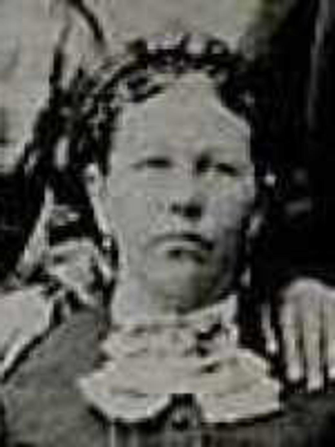 Elizabeth Horrocks (1826 - 1908) Profile